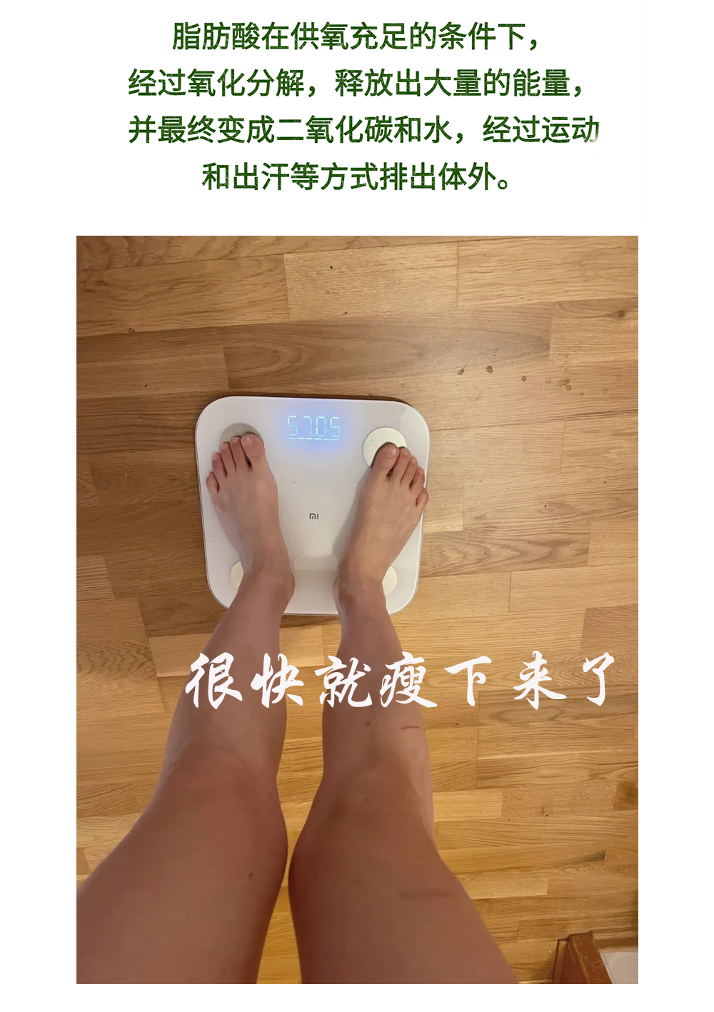 快速减肥方法