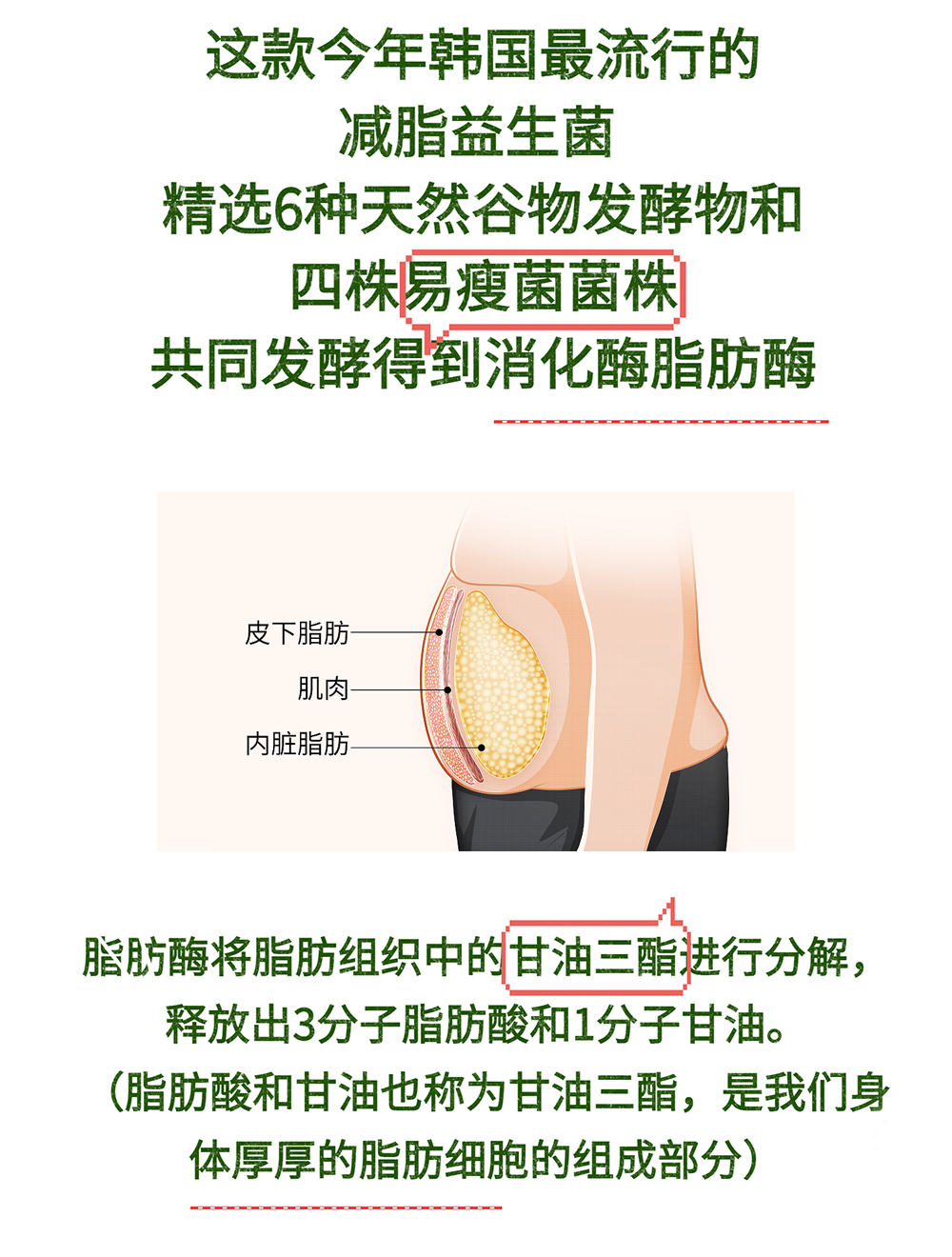 快速减肥方法