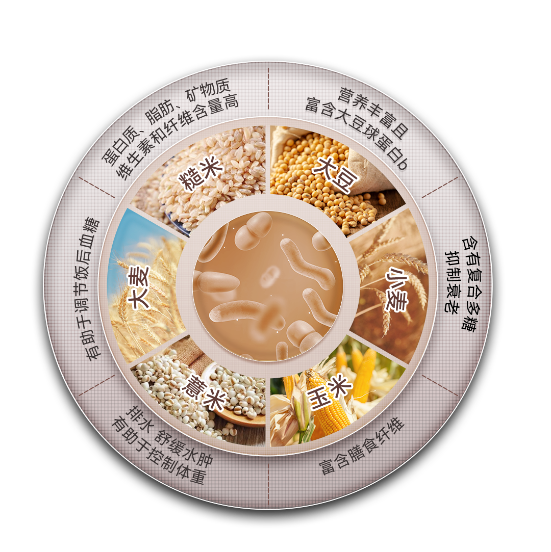 2024年最新健康减肥食谱：科学饮食，轻松瘦身10斤不是梦